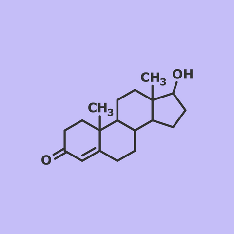 Testosterone Support