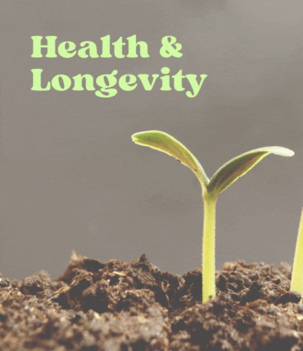 Health & Longevity